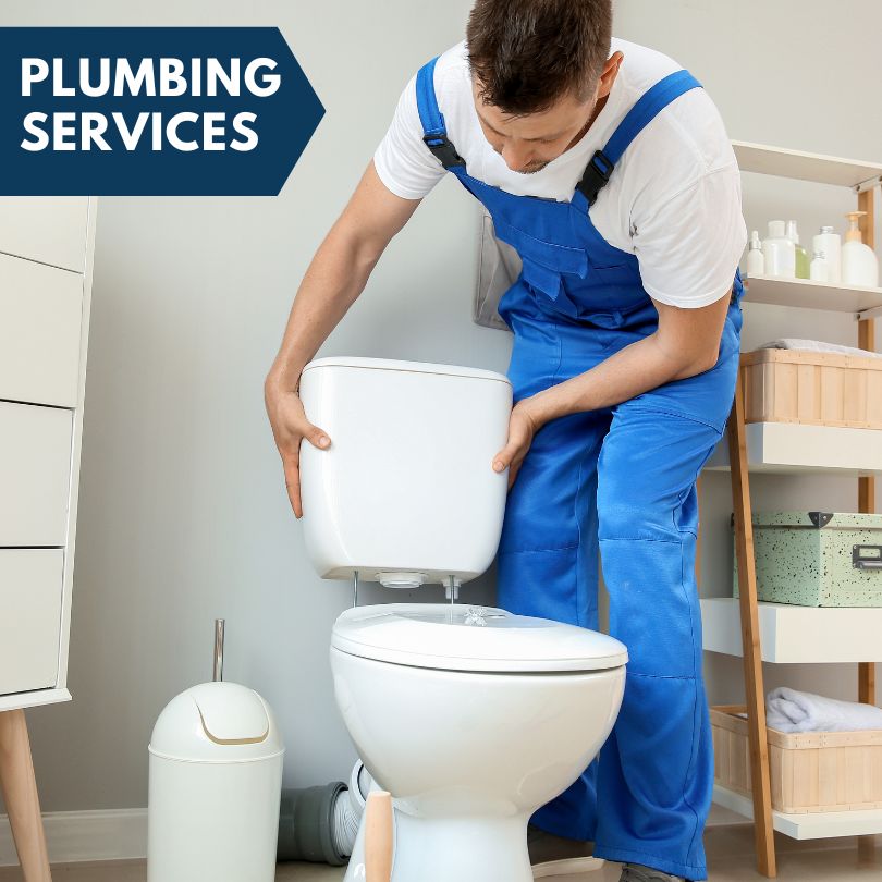 Plumbing Company in Lake Odessa, MI